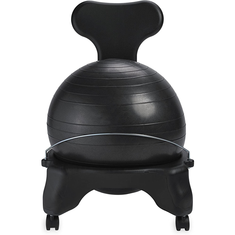 Balance Ball Chair